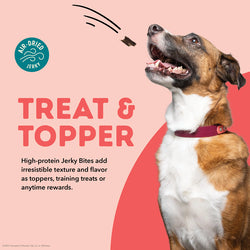 ACANA DOG GRAIN FREE JERKY BITS BEEF 6OZ