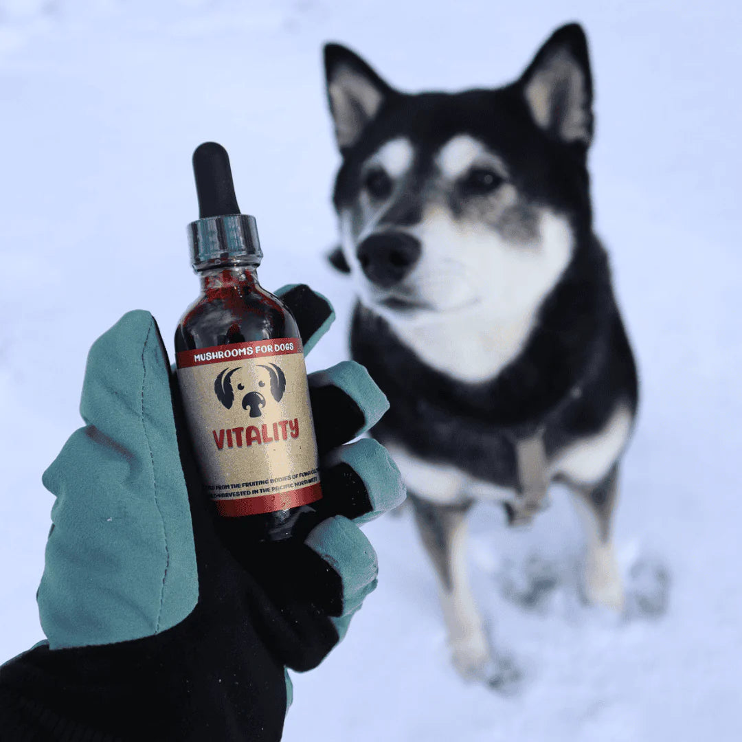 MYCODOG IMMUNE SUPPORT & DAILY WELLNESS VITALITY 2OZ