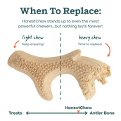 WOOF DOG HONESTCHEW BONE SMALL