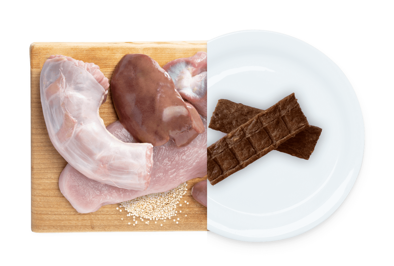 EARTH ANIMAL WISDOM AIR DRIED JERKY TURKEY 4OZ