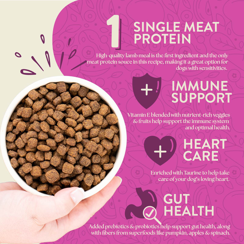 EARTHBORN DOG GRAIN FREE MEADOW FEAST 12.5#