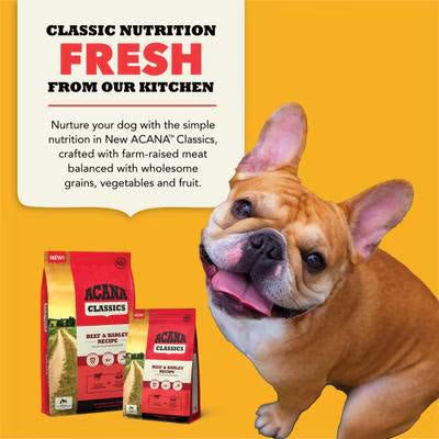 ACANA DOG CLASSICS BEEF BARLEY 22.5#