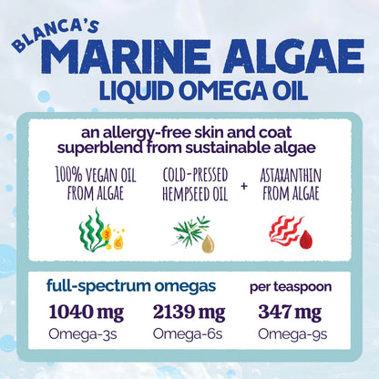 AUSTIN &KAT MARINE ALGAE OIL 16OZ