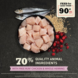 ACANA CAT GRAIN FREE FIRST FEAST KITTEN 7#