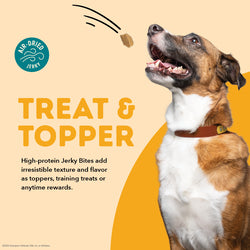 ACANA DOG GRAIN FREE JERKY BITS CHICKEN 6OZ