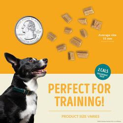 ACANA DOG GRAIN FREE JERKY BITS CHICKEN 6OZ