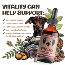 MYCODOG IMMUNE SUPPORT & DAILY WELLNESS VITALITY  2OZ
