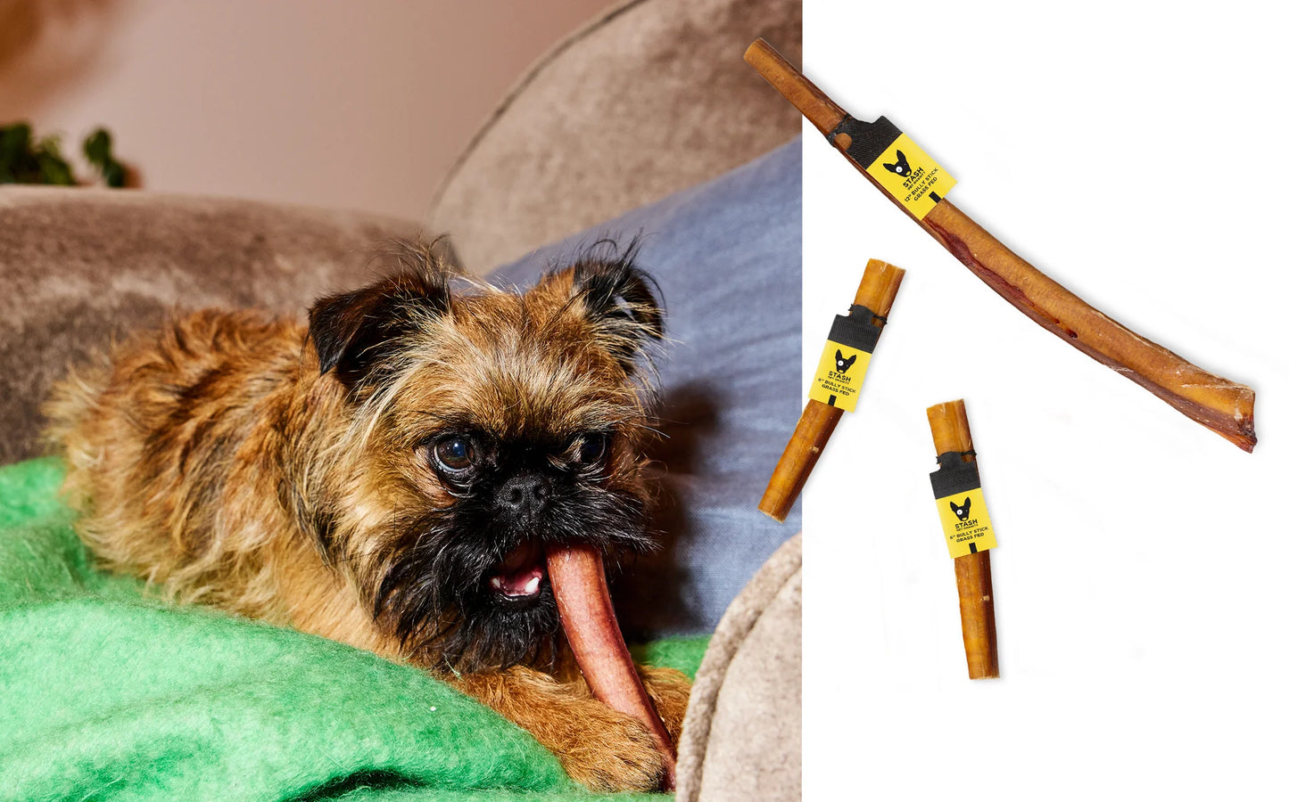 STASH DOG BULLY STICK JUMBO 12" 25CT