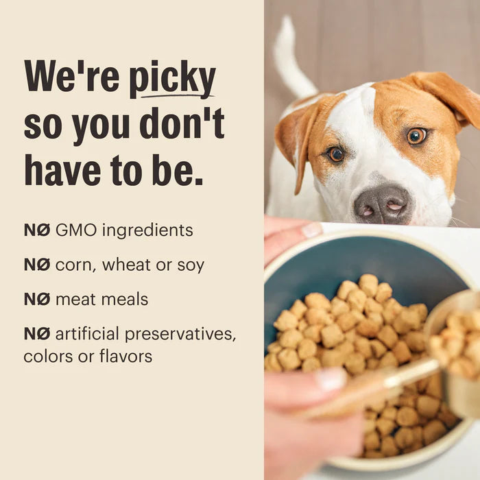 HONEST KITCHEN DOG CLUSTERS WHOLE GRAIN LAMB 4#