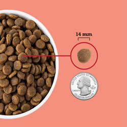 ACANA DOG GRAIN FREE RED MEAT 32#