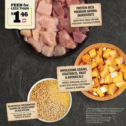 ACANA DOG WHOLESOME FREE RUN POULTRY 32#