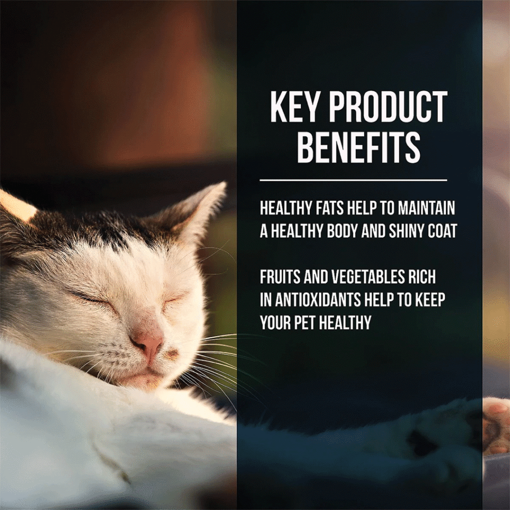 FUSSIE CAT MARKET FRESH SALMON CHICKEN 10#