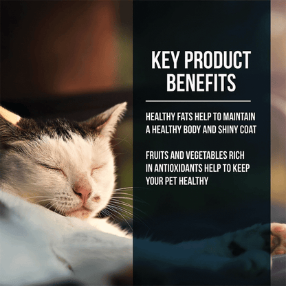 FUSSIE CAT MARKET FRESH SALMON CHICKEN 10#