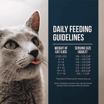 FUSSIE CAT MARKET FRESH SALMON CHICKEN 10#