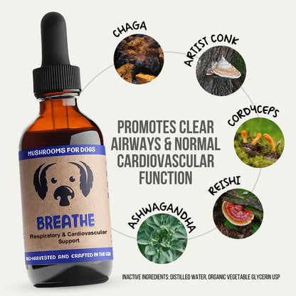 MYCODOG BREATHE RESPIRATORY & CARDIOVASCULAR SUPPORT 2OZ