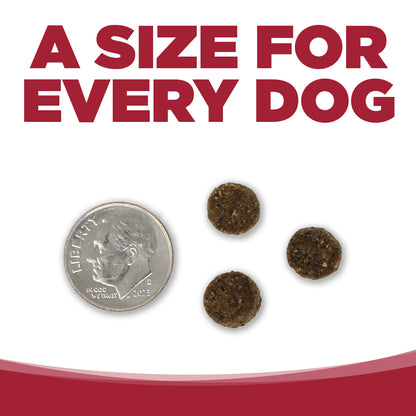 NUTRISOURCE DOG CHOICE BEEF BARLEY 5#