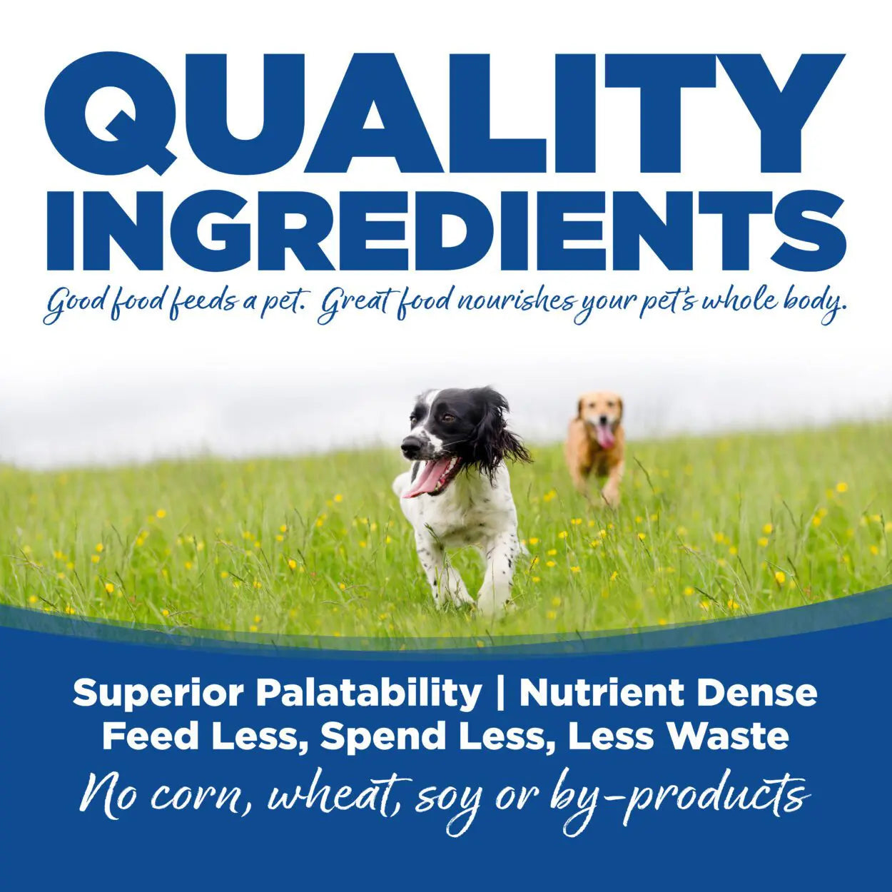 NUTRISOURCE DOG CHOICE WHITEFISH & RICE 40#