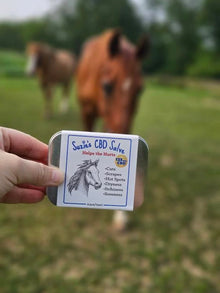 SUZIE'S CBD SALVE 125 MG 2.5OZ