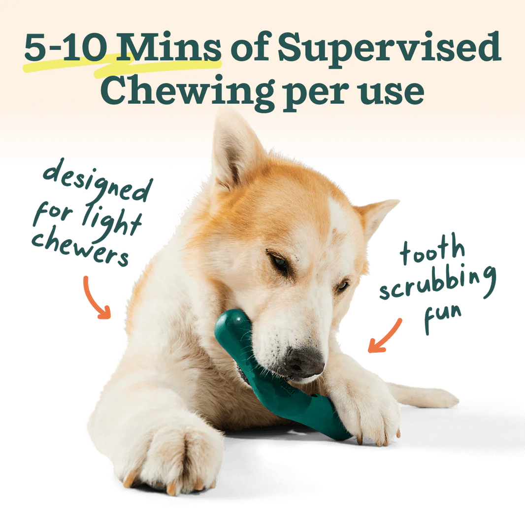 WOOF DOG BITE N BRUSH SMALL