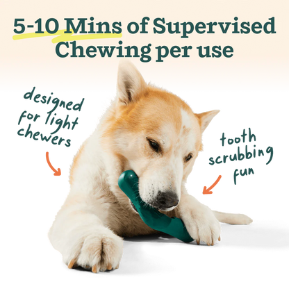 WOOF DOG BITE N BRUSH SMALL