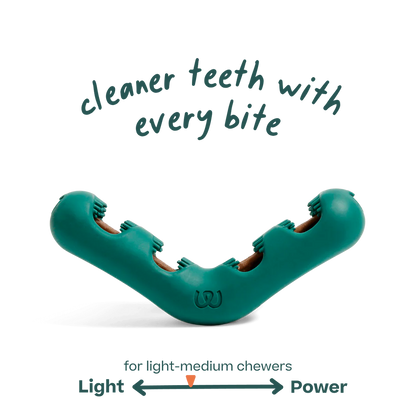 WOOF DOG BITE N BRUSH SMALL