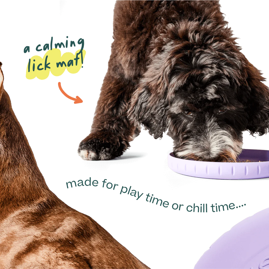 WOOF DOG FORAGER FLY N FEED