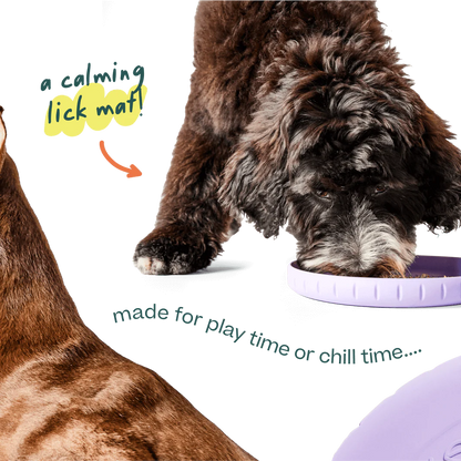 WOOF DOG FORAGER FLY N FEED
