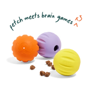WOOF DOG FORAGER FLYBALL 3PK