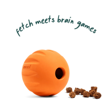 WOOF DOG FORAGER FLYBALL ORANGE