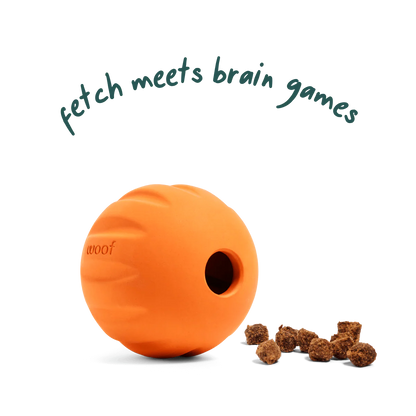 WOOF DOG FORAGER FLYBALL ORANGE