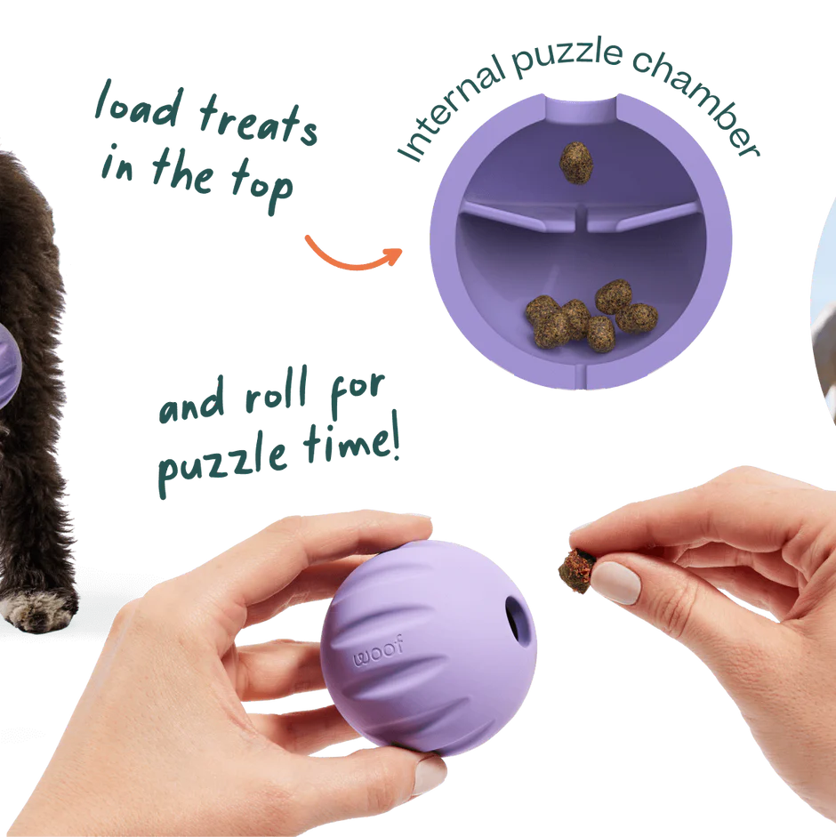 WOOF DOG FORAGER FLYBALL LAVENDER
