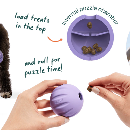 WOOF DOG FORAGER FLYBALL LAVENDER