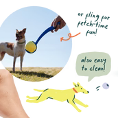 WOOF DOG FORAGER FLYBALL LAVENDER