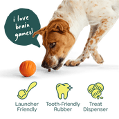 WOOF DOG FORAGER FLYBALL LAVENDER