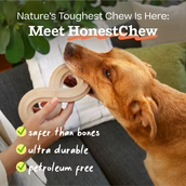WOOF DOG HONESTCHEW BONE MEDIUM
