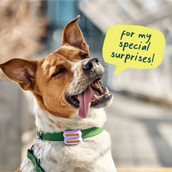 WOOF DOG POOMERGENCY GREEN