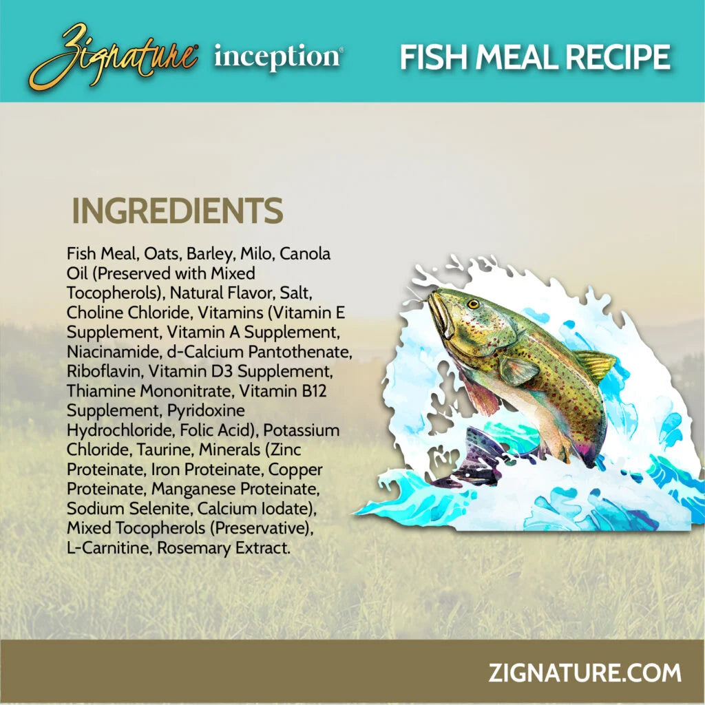INCEPTION FISH MEAL RECIPE 4#