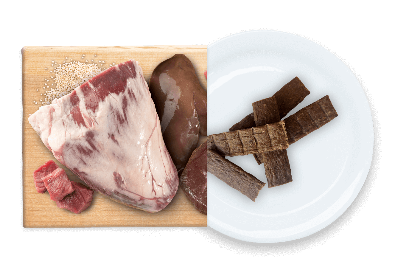 EARTH ANIMAL WISDOM AIR DRIED JERKY FROM THE LAND 4OZ