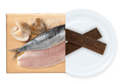 EARTH ANIMAL WISDOM AIR DRIED JERKY FROM THE SEA 4OZ