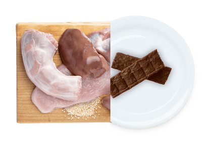 EARTH ANIMAL WISDOM AIR DRIED JERKY TURKEY 4OZ