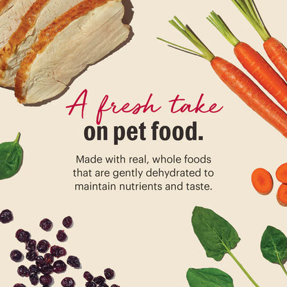 HONEST KITCHEN DOG GRAIN FREE TURKEY 2# BOX