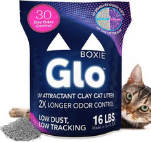 BOXIE CAT GLO CLAY 16#