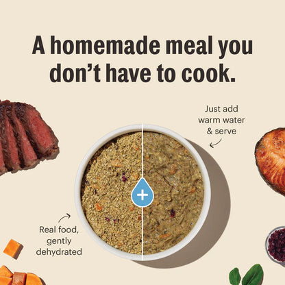 HONEST KITCHEN DOG GRAIN FREE TURKEY 10# BOX