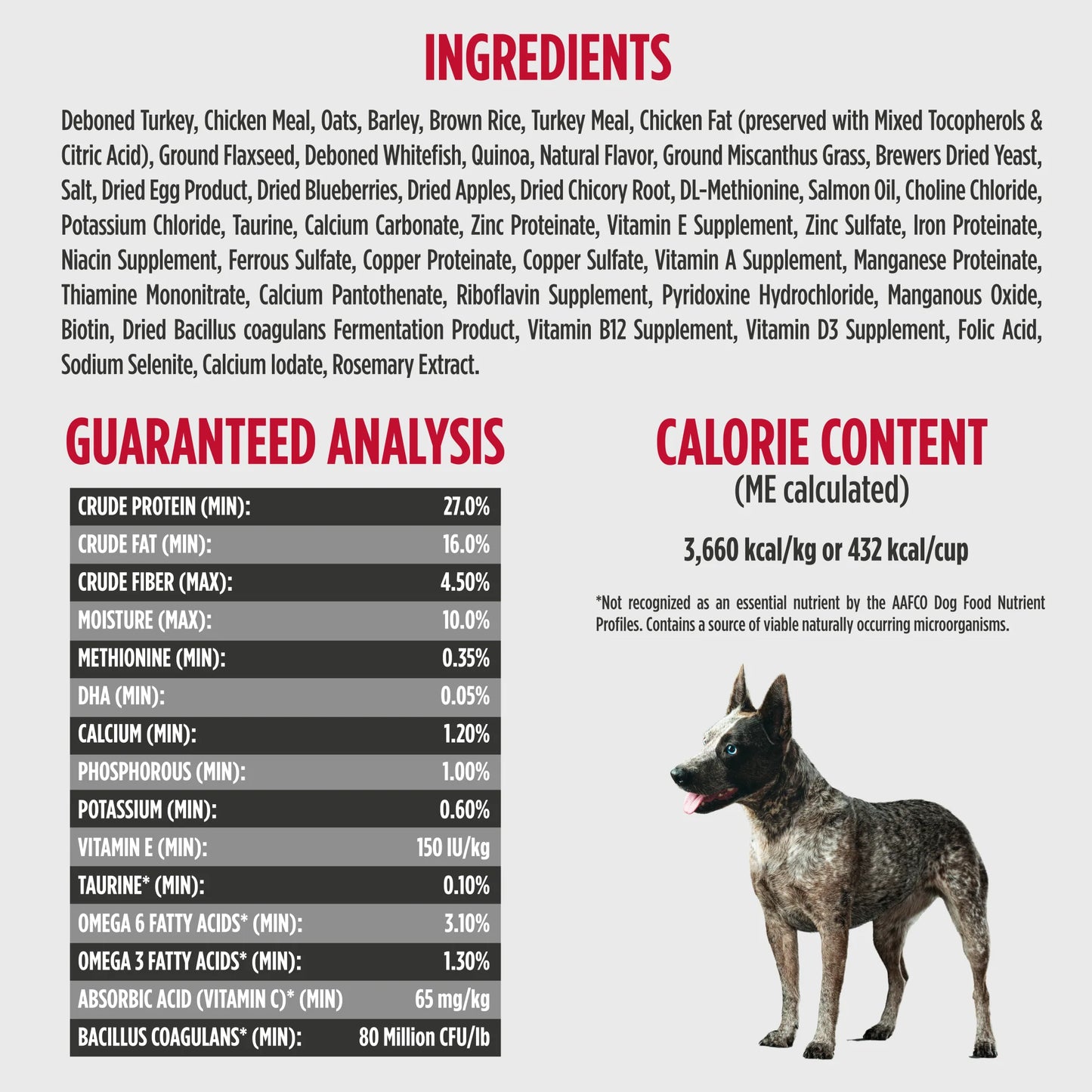 FRONTRUNNER DOG SMALL BREED TURKEY WHITEFISH QUINOA 11#