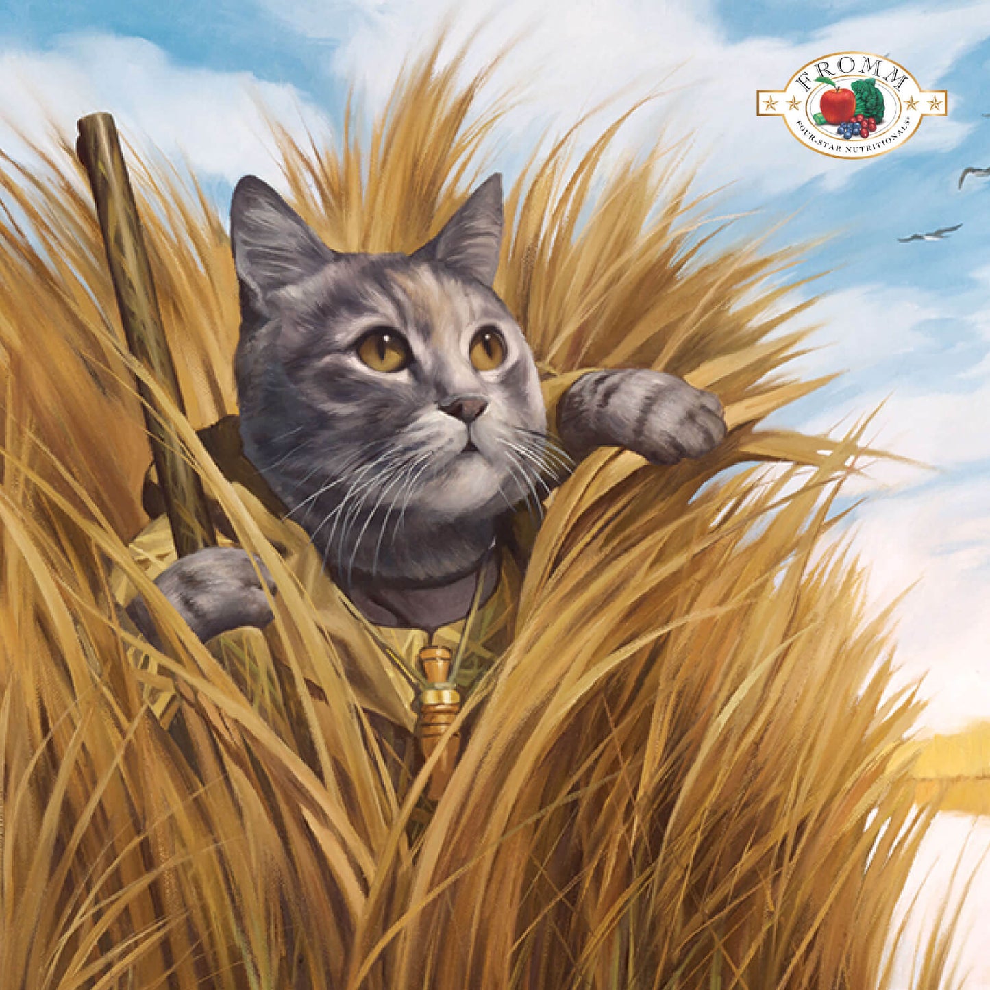 FROMM CAT 4STAR GRAIN FREE GAMEBIRD 4#