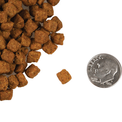 FROMM DOG 4STAR GRAIN FREE GAMEBIRD 12#