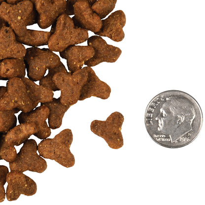 FROMM CAT 4STAR GRAIN FREE GAMEBIRD 4#