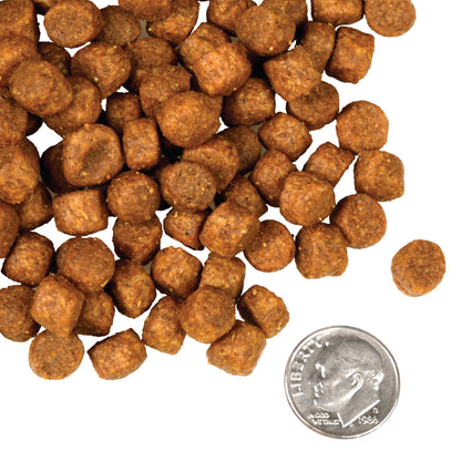 FROMM DOG 4STAR GRAIN FREE GAMEBIRD 4#